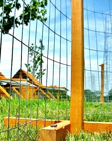 Portable Chicken Yard Fence Posts